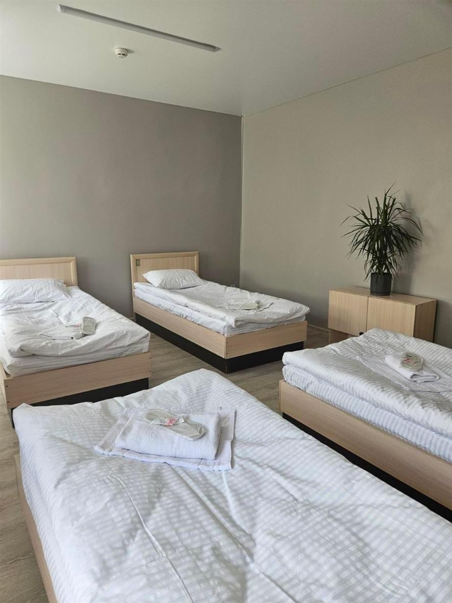 Hotel Lion Hill *