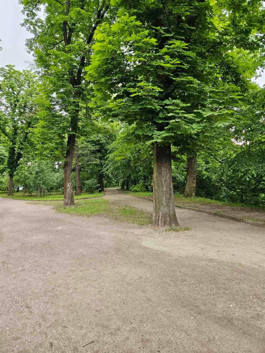 Отель Lion Hill *
